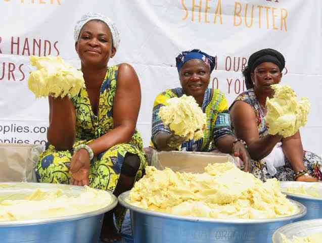 7 Hidden Benefits You Did Not Know About The Power of Shea Butter. | MirrorLog
